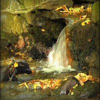 Buy canvas prints of "AUTUMN WATERFALL"  by ROS RIDLEY