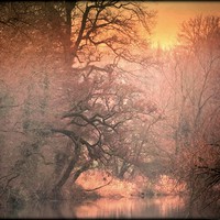 Buy canvas prints of "SUNSET ON THE RIVER WANSBECK" by ROS RIDLEY