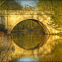 Buy canvas prints of "EVENING REFLECTIONS AT THE BRIDGE" by ROS RIDLEY