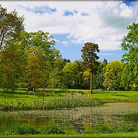 Buy canvas prints of "THE LAKE AT THORP PERROW ARBORETUM" by ROS RIDLEY