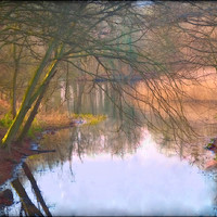 Buy canvas prints of "EVENING LIGHT  AND REFLECTIONS ON THE LAKE" by ROS RIDLEY