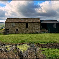 Buy canvas prints of "FARM BUILDING IN WENSLEYDALE " by ROS RIDLEY