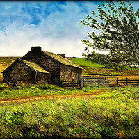 Buy canvas prints of STONE  BARN ON THE MOORS by ROS RIDLEY