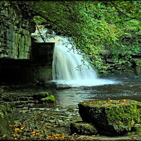Buy canvas prints of "BY THE WATERFALL" by ROS RIDLEY