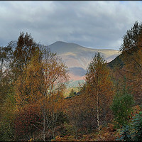 Buy canvas prints of "AUTUMN IN THE ENGLISH LAKE DISTRICT" by ROS RIDLEY