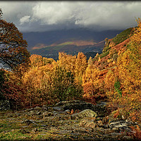 Buy canvas prints of "AUTUMN COLOUR IN THE ENGLISH LAKE DISTRICT 2 ) by ROS RIDLEY