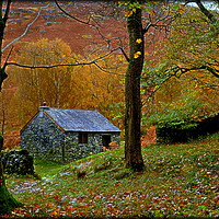 Buy canvas prints of " LITTLE STONE HUT IN THE WOOD" by ROS RIDLEY