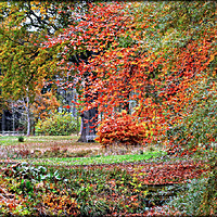 Buy canvas prints of "IN AN ENGLISH AUTUMN GARDEN" by ROS RIDLEY