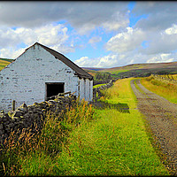 Buy canvas prints of "DERELICT BARN ON THE MOORS OF UPPER TEESDALE" by ROS RIDLEY