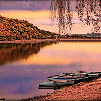 Buy canvas prints of "EVENING LIGHT ON TUNSTALL RESERVOIR" by ROS RIDLEY