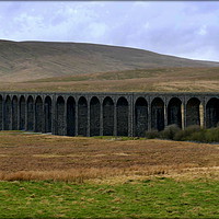 Buy canvas prints of "TRAIN APPROACHING ON RIBBLEHEAD VIADUCT" by ROS RIDLEY