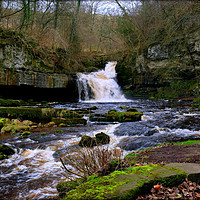 Buy canvas prints of "WEST BURTON WATERFALL" by ROS RIDLEY