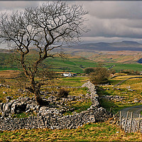 Buy canvas prints of "Yorkshire Dales view across to the mountains of W by ROS RIDLEY