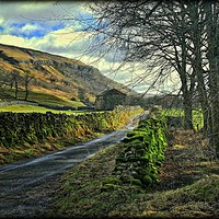 Buy canvas prints of "BUCOLIC SCENE IN THE YORKSHIRE DALES" by ROS RIDLEY