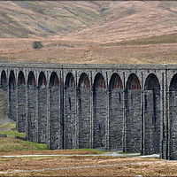 Buy canvas prints of "Ribblehead Viaduct" by ROS RIDLEY