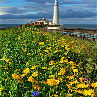 Buy canvas prints of "Portrait of St.Mary's Lighthouse WhitleyBay" by ROS RIDLEY