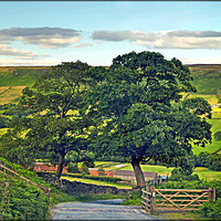 Buy canvas prints of "Down the road from the moors to Botton Village" by ROS RIDLEY