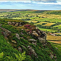 Buy canvas prints of "North York Moors overlooking Danby Dale" by ROS RIDLEY