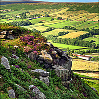 Buy canvas prints of "Overlooking Danby Dale " by ROS RIDLEY