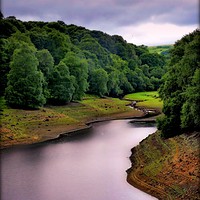 Buy canvas prints of "Evening Light at Leighton Reservoir" by ROS RIDLEY