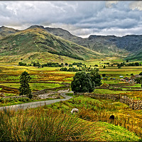 Buy canvas prints of "Across the Langdale Pikes" by ROS RIDLEY