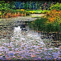 Buy canvas prints of " Autumn Leaves on the lake" by ROS RIDLEY