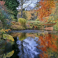 Buy canvas prints of "Autumn reflections at Thorp Perrow lake" by ROS RIDLEY