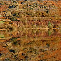 Buy canvas prints of "Autumn Reflections at Thirlmere (1)" by ROS RIDLEY