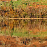 Buy canvas prints of "Autumn reflections at Thirlmere (2)" by ROS RIDLEY
