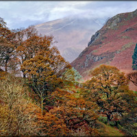 Buy canvas prints of "Autumn trees and misty mountains" by ROS RIDLEY
