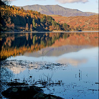 Buy canvas prints of "Across Blencathra from Thirlmere" by ROS RIDLEY
