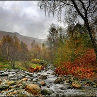 Buy canvas prints of "Misty morning in the Lake District" by ROS RIDLEY