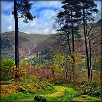 Buy canvas prints of "Pathway to Thirlmere" by ROS RIDLEY