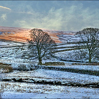 Buy canvas prints of "Evening light across the snow" by ROS RIDLEY
