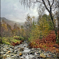 Buy canvas prints of "Portrait of a Lakeland mountain stream" by ROS RIDLEY