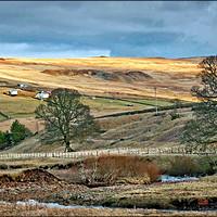 Buy canvas prints of "Evening sun across Weardale" by ROS RIDLEY