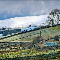 Buy canvas prints of "A drive through Teesdale" by ROS RIDLEY