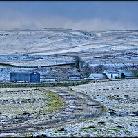 Buy canvas prints of "Teesdale Winter" by ROS RIDLEY