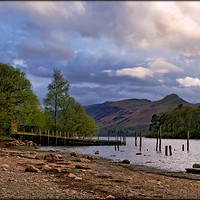 Buy canvas prints of "Evening light Derwent water" by ROS RIDLEY