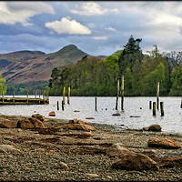 Buy canvas prints of "Derwentwater groynes and jetty 2" by ROS RIDLEY