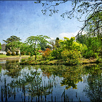 Buy canvas prints of "Blue sky reflections at Thorp Perrow" by ROS RIDLEY