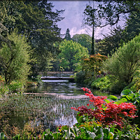 Buy canvas prints of "Lush Spring foliage at Thorp Perrow" by ROS RIDLEY