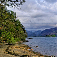 Buy canvas prints of "Trees at Derwent water" by ROS RIDLEY