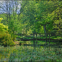Buy canvas prints of "Green reflections at the lake" by ROS RIDLEY