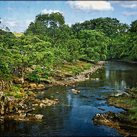 Buy canvas prints of "Along the River Wharfe at Grassington 2" by ROS RIDLEY