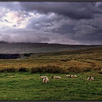 Buy canvas prints of "Storm over  the Viaduct" by ROS RIDLEY