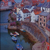 Buy canvas prints of "Evening Light on Staithes Harbour" by ROS RIDLEY