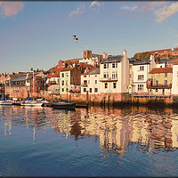 Buy canvas prints of "Evening light Whitby " by ROS RIDLEY
