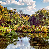 Buy canvas prints of "Early Autumn reflections in the park lake" by ROS RIDLEY