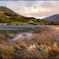 Buy canvas prints of "Evening Light across Loweswater" by ROS RIDLEY
